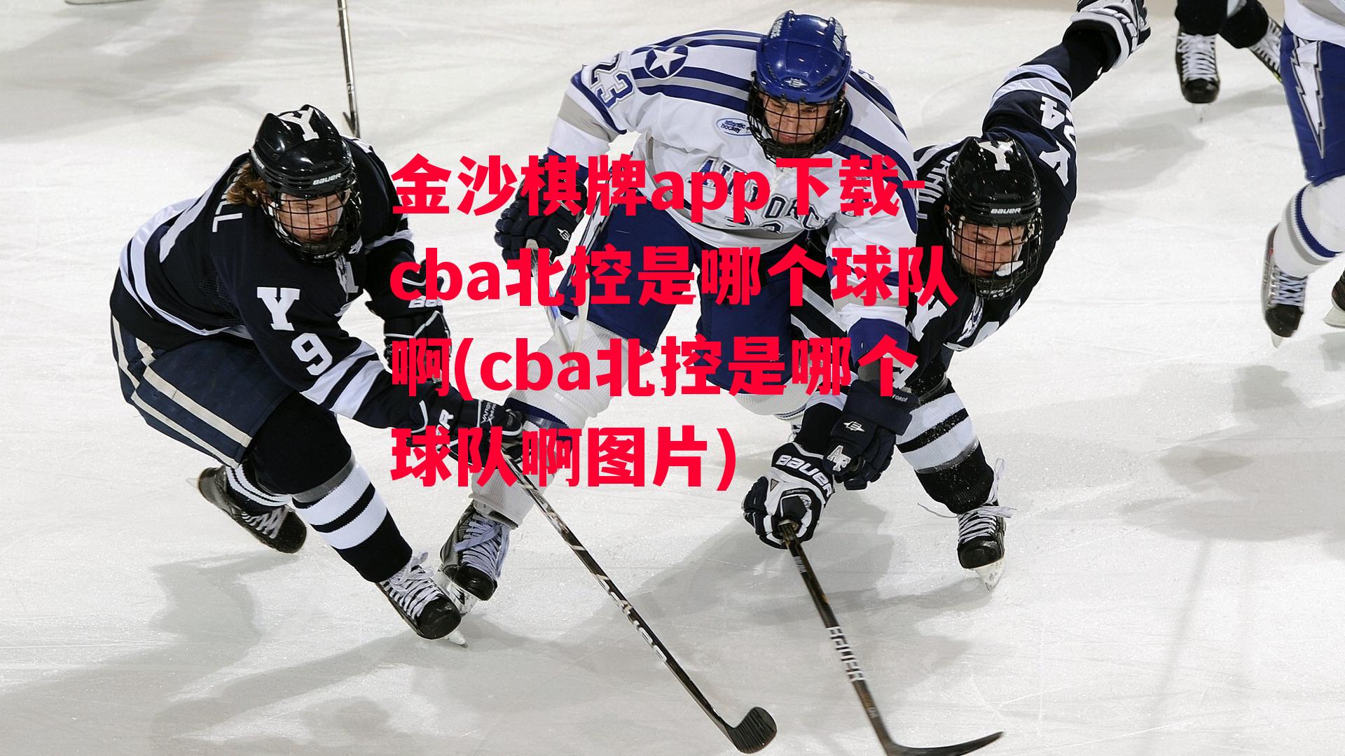 cba北控是哪个球队啊(cba北控是哪个球队啊图片)