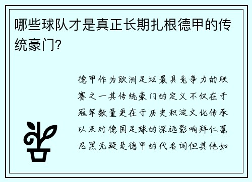 哪些球队才是真正长期扎根德甲的传统豪门？